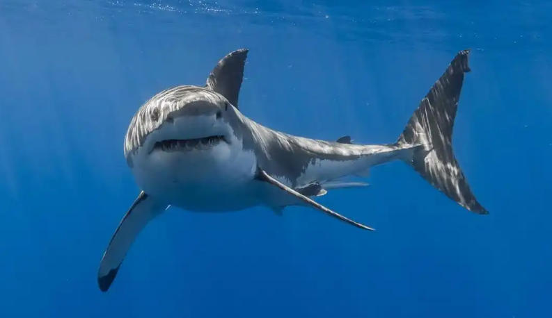 山西鼎泰伟业建筑工程有限公司轮播图2