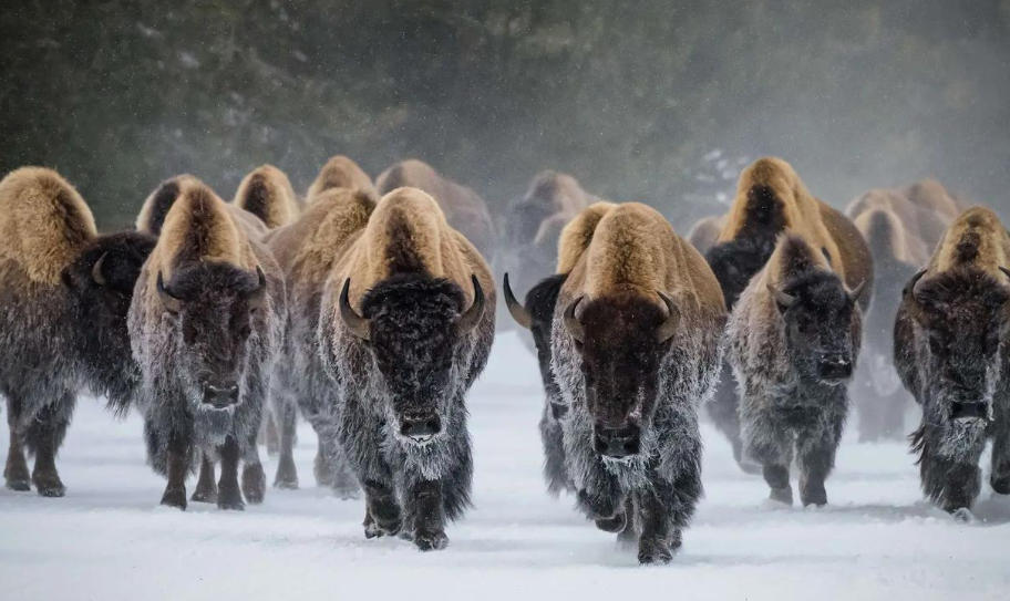 山西鼎泰伟业建筑工程有限公司轮播图4