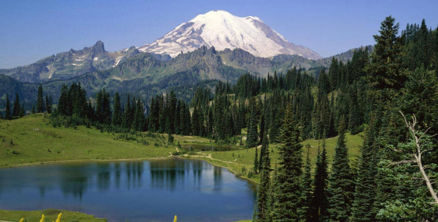 山西鼎泰伟业建筑工程有限公司轮播图4